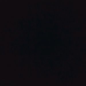 Meet your Posher, Prissilla